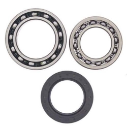 Radlagersatz 25-1010