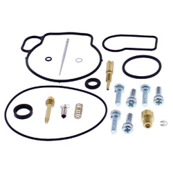 Vergaser Reparatursatz 26-10030