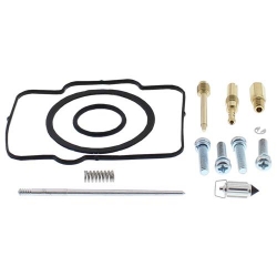 Vergaser Reparatursatz 26-10062