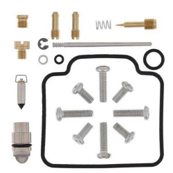 Vergaser Reparatursatz 26-1009