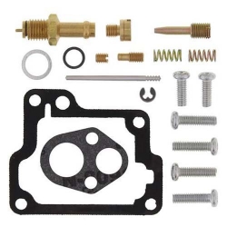 Vergaser Reparatursatz 26-1120