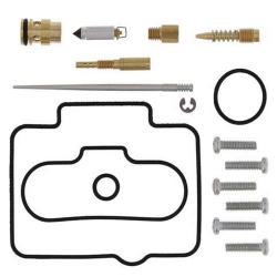 Vergaser Reparatursatz 26-1509