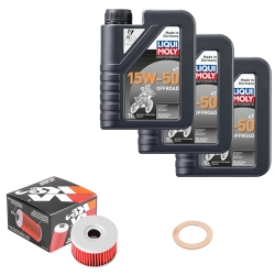 Wartungsset Ölwechsel, LIQUI MOLY Motorbike Öl 4Takt teilsytnth.