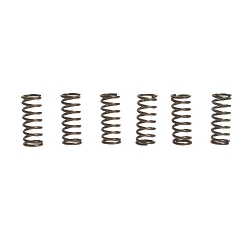 Kupplungsfedern verstärkt EBC CSK001
