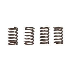 Kupplungsfedern verstärkt EBC CSK003