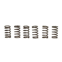 Kupplungsfedern verstärkt EBC CSK007
