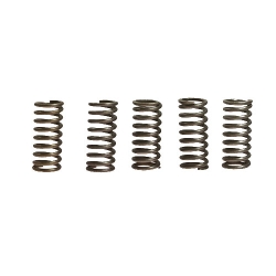 Kupplungsfedern verstärkt EBC CSK033