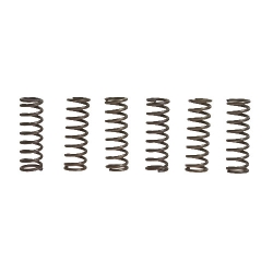Kupplungsfedern verstärkt EBC CSK037