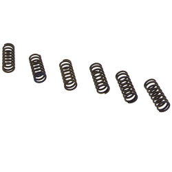 Kupplungsfedern verstärkt EBC CSK039
