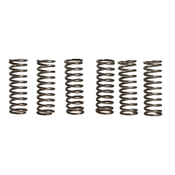 Kupplungsfedern verstärkt EBC CSK069