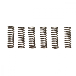 Kupplungsfedern verstärkt EBC CSK092