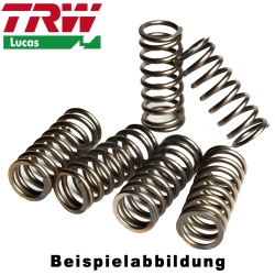 Kupplungsfedern Set TRW / Lucas MEF339-6