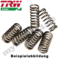 Kupplungs Kit MYK1719 fahrzeugspezifisch,  Reibscheiben, Stahlscheiben, Federn