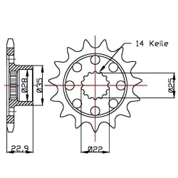 Ritzel