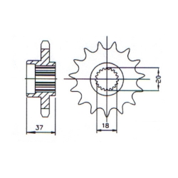 Ritzel