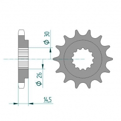 Ritzel