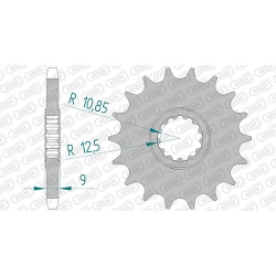 Ritzel