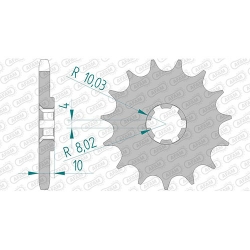 Ritzel