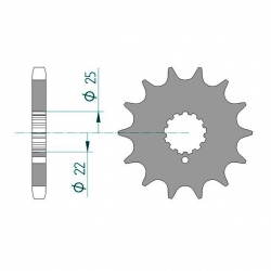 Ritzel