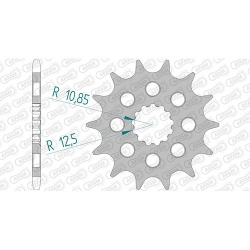 Ritzel