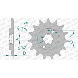 Ritzel