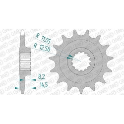 Ritzel