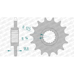 Ritzel
