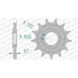 Ritzel