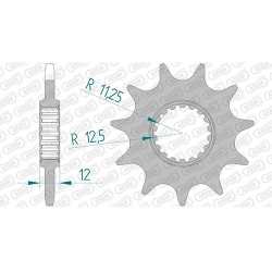 Ritzel
