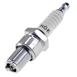 Zündkerze NGK B8ES SAE fest