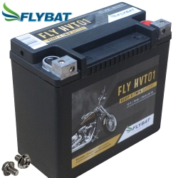 Batterie FlyBat FLYHVT01 / HVT01 AGM geschlossen