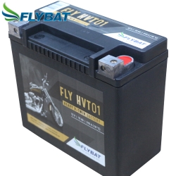 Batterie FlyBat FLYHVT01 / HVT01 AGM geschlossen