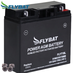 Batterie FlyBat FLYT19L / YT19BL-BS AGM geschlossen