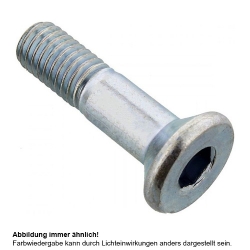 Kettenrad Schraube Originalersatzteil