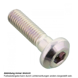 Kettenrad Schraube Originalersatzteil