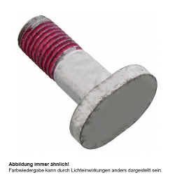 Kettenrad Schraube Originalersatzteil