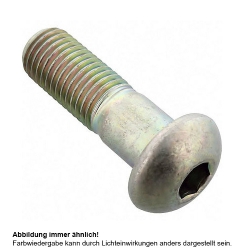Kettenrad Schraube Originalersatzteil