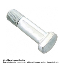Kettenrad Schraube Originalersatzteil
