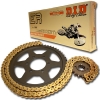 DID Kettensatz Alu Aprilia RS 125 Extrema/Replica (PYA00) Bj.2006