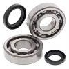 Kurbelwellenlager 24-1038