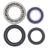 Radlagersatz 25-1012