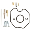 Vergaser Reparatursatz 26-1599