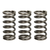 Kupplungsfedern Set TRW / Lucas MEF350-3