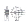 Ritzel