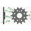 Ritzel