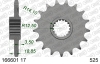 Ritzel