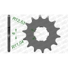 Ritzel