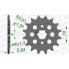 Ritzel