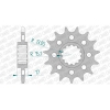 Ritzel