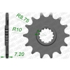 Ritzel